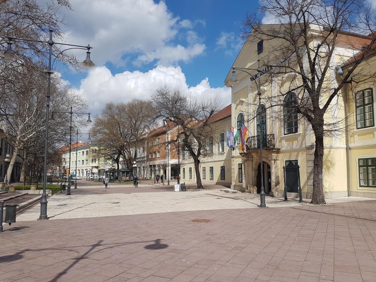 Via Tokaj Vendeghaz Apartment Sátoraljaújhely Bagian luar foto