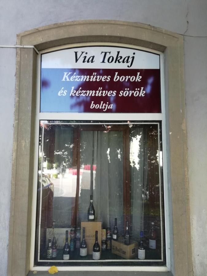 Via Tokaj Vendeghaz Apartment Sátoraljaújhely Bagian luar foto