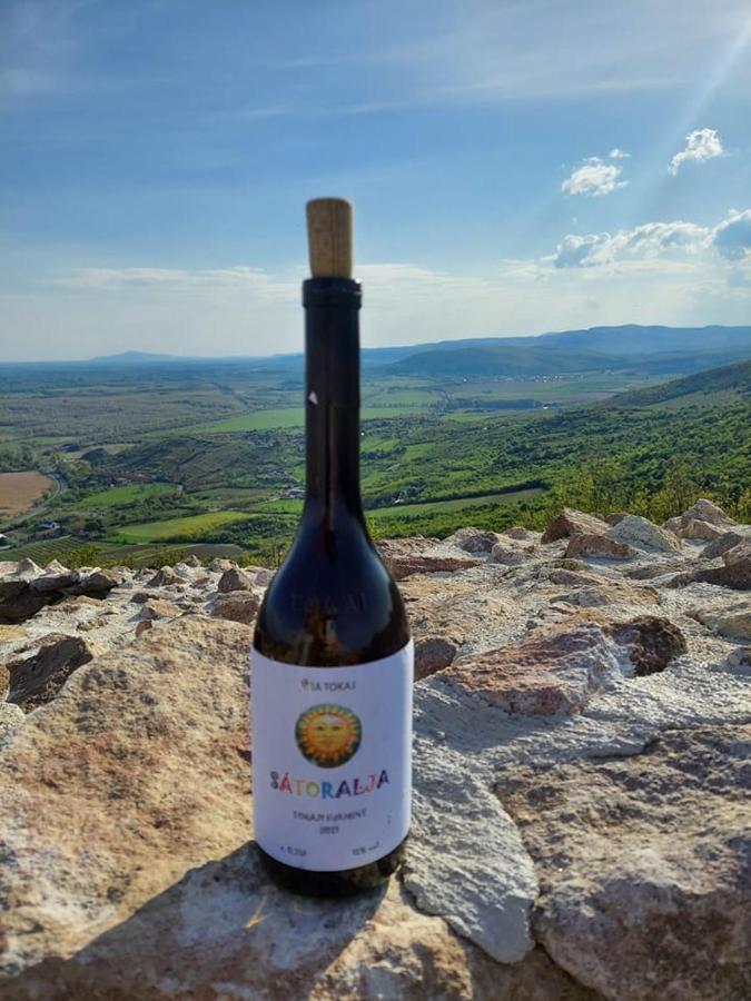 Via Tokaj Vendeghaz Apartment Sátoraljaújhely Bagian luar foto