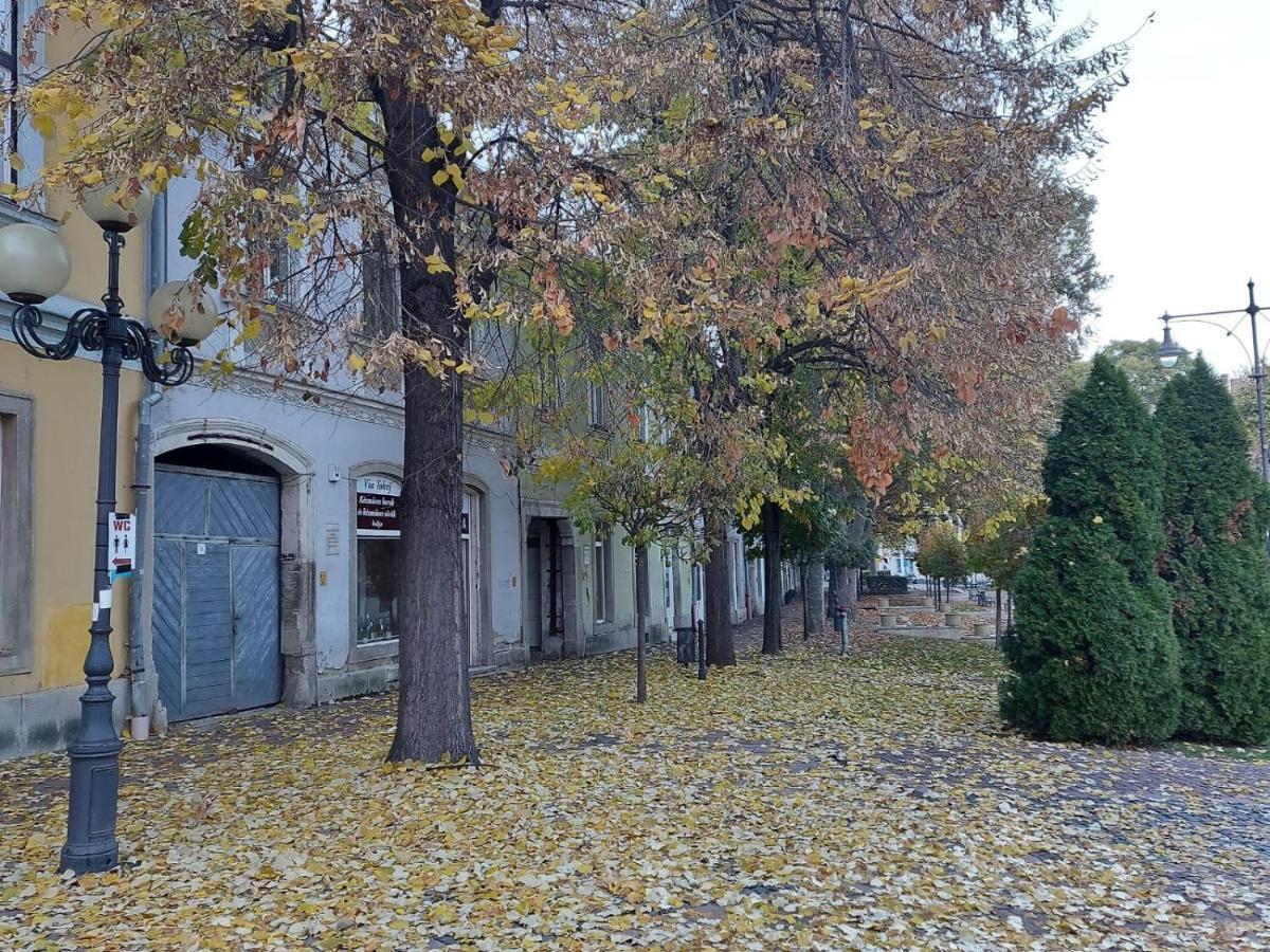 Via Tokaj Vendeghaz Apartment Sátoraljaújhely Bagian luar foto