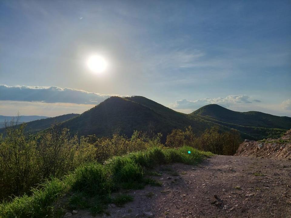 Via Tokaj Vendeghaz Apartment Sátoraljaújhely Bagian luar foto