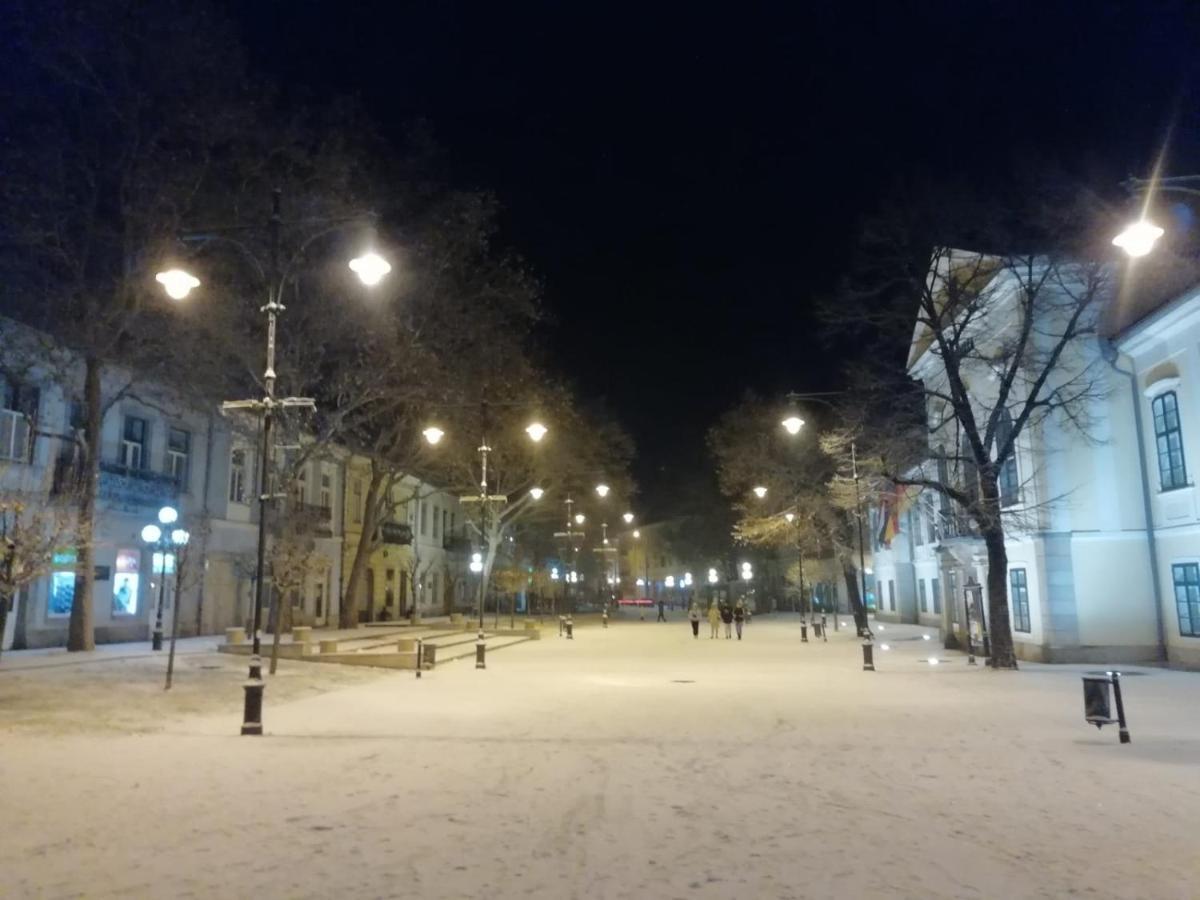 Via Tokaj Vendeghaz Apartment Sátoraljaújhely Bagian luar foto