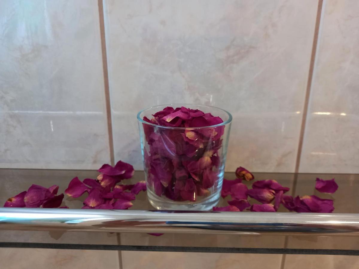 Via Tokaj Vendeghaz Apartment Sátoraljaújhely Bagian luar foto