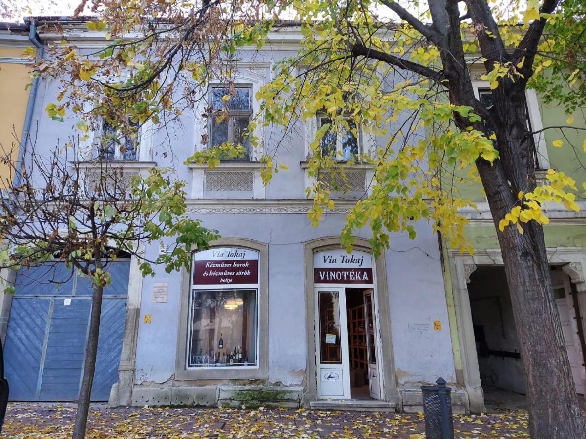 Via Tokaj Vendeghaz Apartment Sátoraljaújhely Bagian luar foto