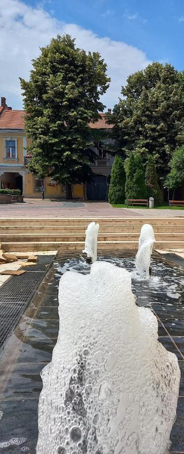 Via Tokaj Vendeghaz Apartment Sátoraljaújhely Bagian luar foto
