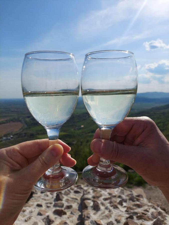 Via Tokaj Vendeghaz Apartment Sátoraljaújhely Bagian luar foto
