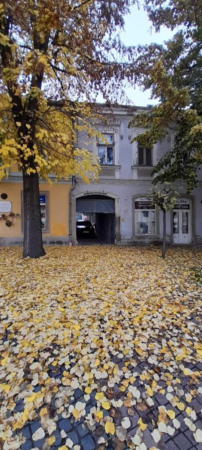 Via Tokaj Vendeghaz Apartment Sátoraljaújhely Bagian luar foto
